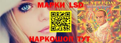 прущие крисы Камышлов