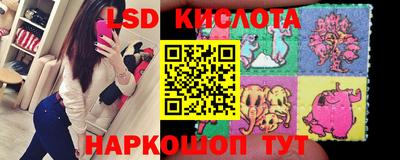прущие крисы Камышлов