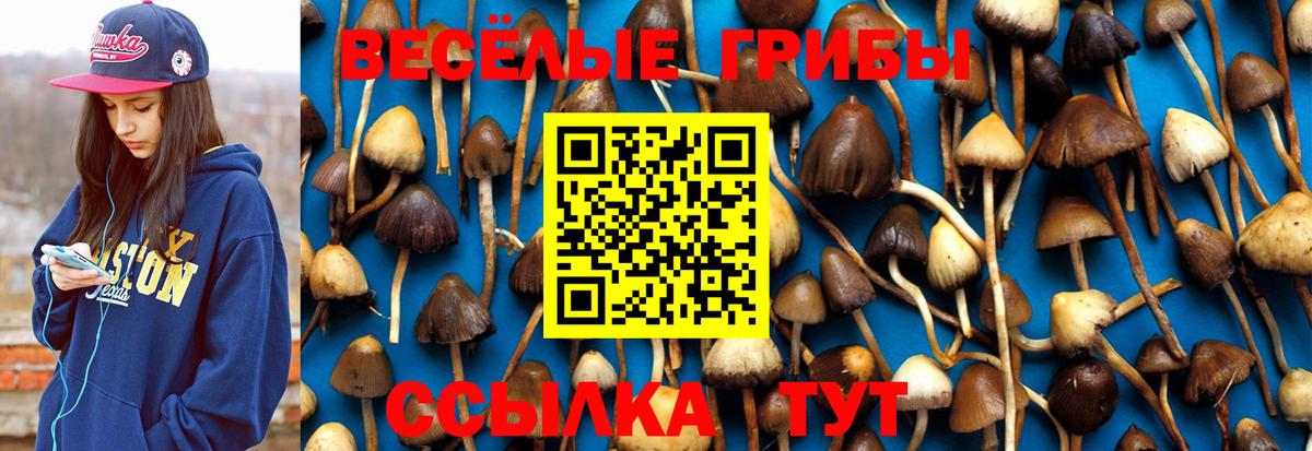 Псилоцибиновые грибы прущие грибы  Вход с VPN  Тавда 